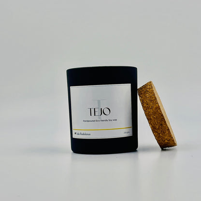 Tejo – Scented Candle with Cool Notes of Icy Air (250gm)